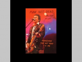 Punk Not Dead ... dalších 25 let  252 strán, formát 146*205